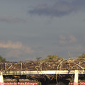 18_25-mast.jpg