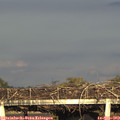 18_30-mast.jpg