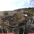 18_35-nest.jpg
