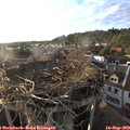 18_40-nest.jpg