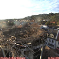 18_45-nest.jpg