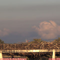 18_50-mast.jpg