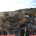 18_55-nest.jpg