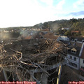 19_00-nest.jpg