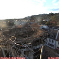 19_05-nest.jpg