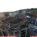 19_15-nest.jpg