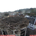 07_10-nest.jpg