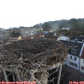07_20-nest.jpg