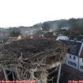 07_25-nest.jpg