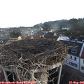 07_30-nest.jpg