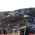 07_35-nest.jpg