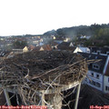 07_40-nest.jpg