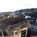 07_45-nest.jpg