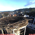 07_50-nest.jpg