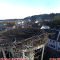 07_55-nest.jpg