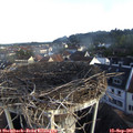 08_05-nest.jpg