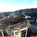 08_10-nest.jpg