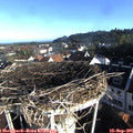 08_15-nest.jpg