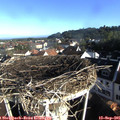 08_25-nest.jpg