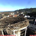 08_30-nest.jpg