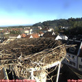 08_35-nest.jpg