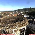 08_40-nest.jpg