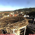 08_45-nest.jpg