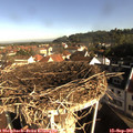 08_50-nest.jpg