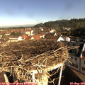 09_10-nest.jpg