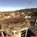 09_35-nest.jpg