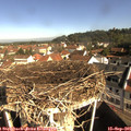 09_40-nest.jpg
