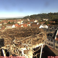 09_45-nest.jpg