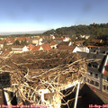 09_50-nest.jpg