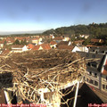 09_55-nest.jpg