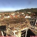 10_05-nest.jpg