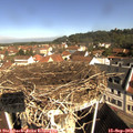 10_10-nest.jpg