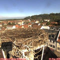 10_15-nest.jpg