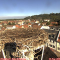10_30-nest.jpg