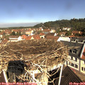 10_35-nest.jpg