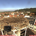 10_40-nest.jpg