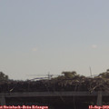 11_00-mast.jpg