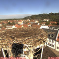 11_05-nest.jpg