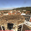 11_15-nest.jpg