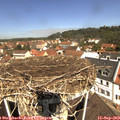 11_35-nest.jpg