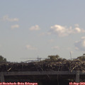 11_40-mast.jpg