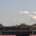 11_45-mast.jpg