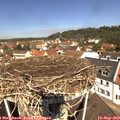 11_45-nest.jpg