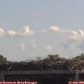 11_50-mast.jpg