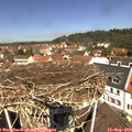11_50-nest.jpg