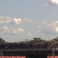 11_55-mast.jpg